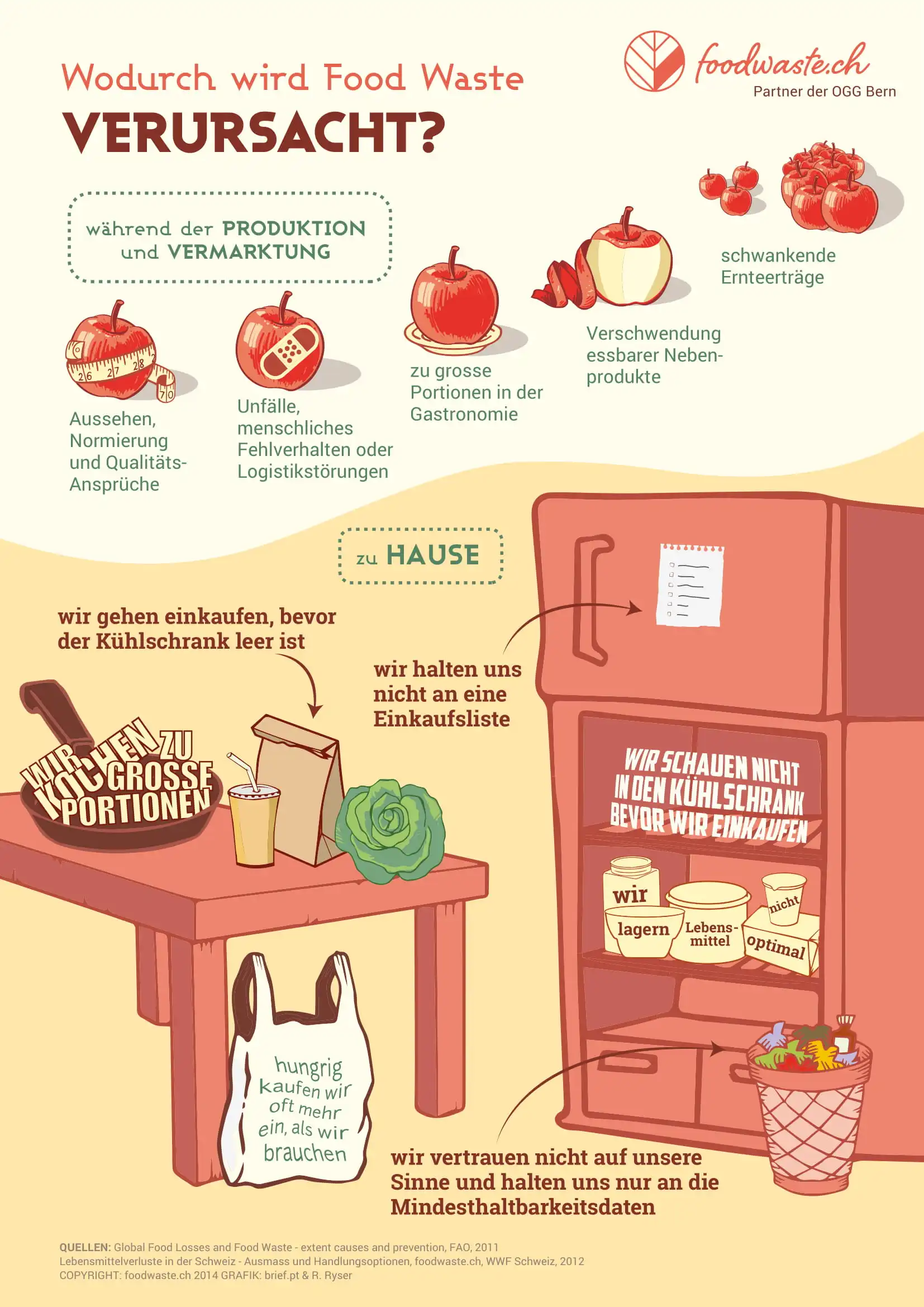 foddwaste.ch Infografik wodurch foodwaste verursacht wird